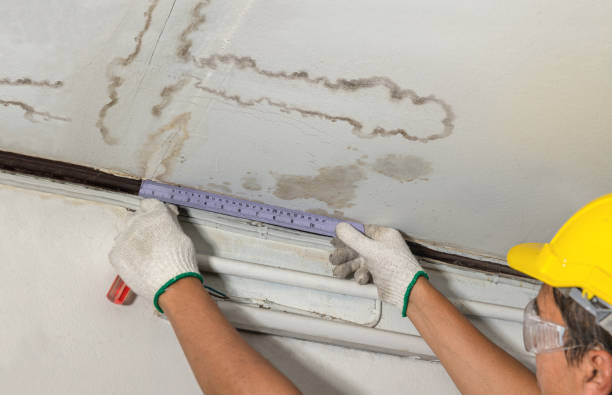 Reliable Burst Pipe Cleanup contractor in Needham Heights, MA by Water Damage Irwin